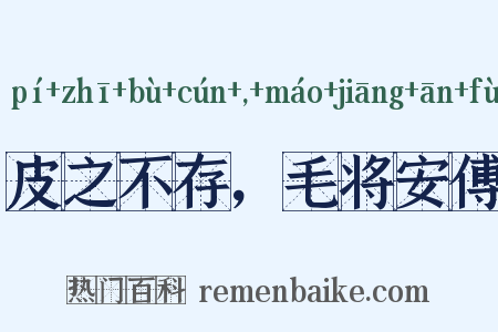 皮之不存，毛将安傅是什么意思的图片